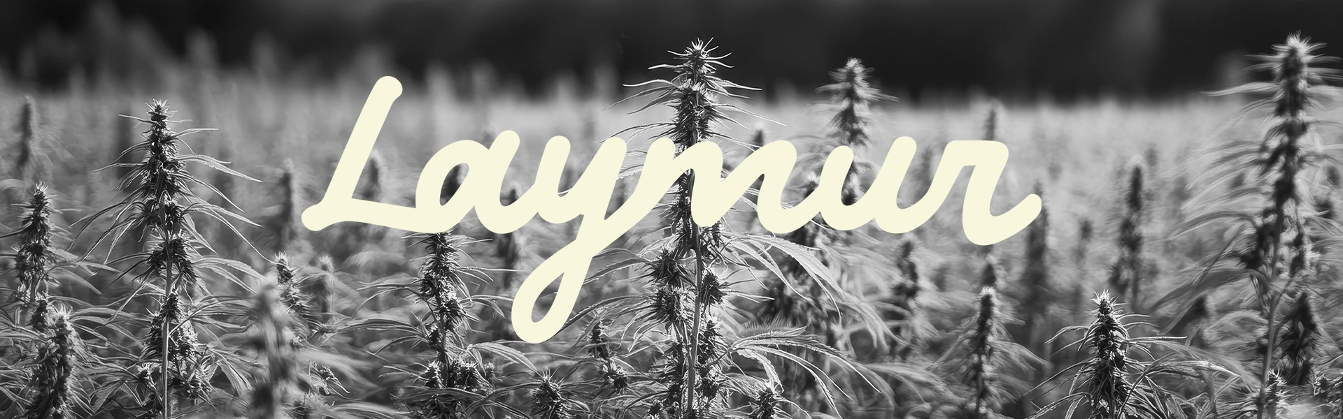 SLIDER_HOME_LAYMUR_1920_600px_1